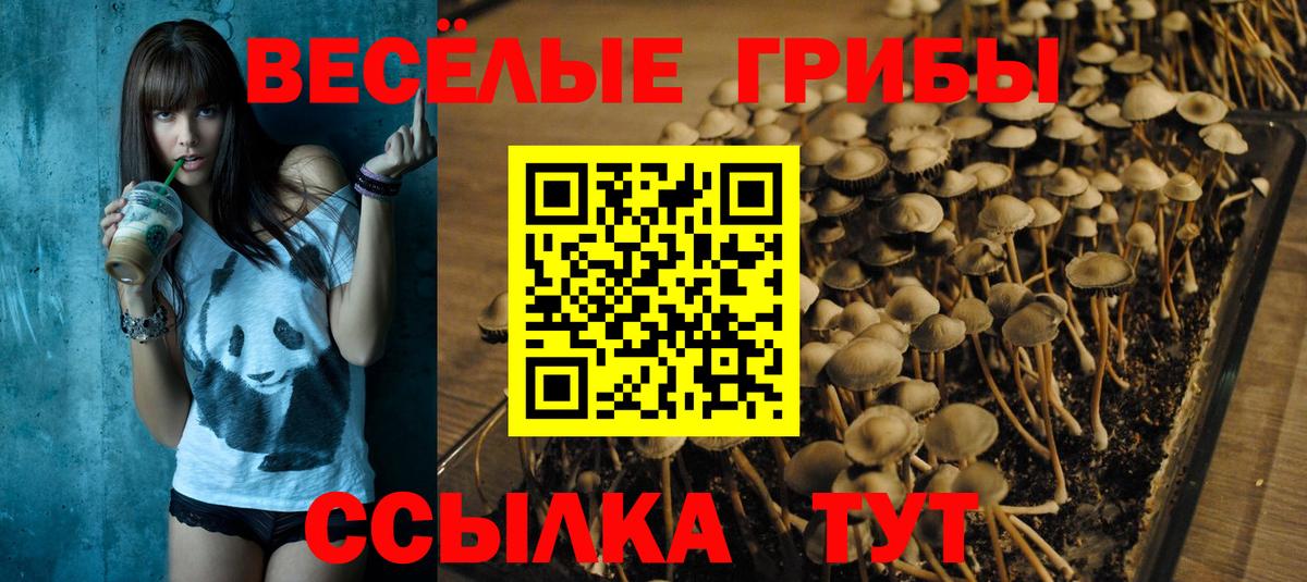 Нижний Тагил  Галлюциногенные грибы Psilocybe  Псилоцибиновые грибы Cubensis  Вход с VPN 
